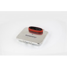Штатный ксеноновый блок розжига D1/3(H2) 12V 35W (5DV00961000)